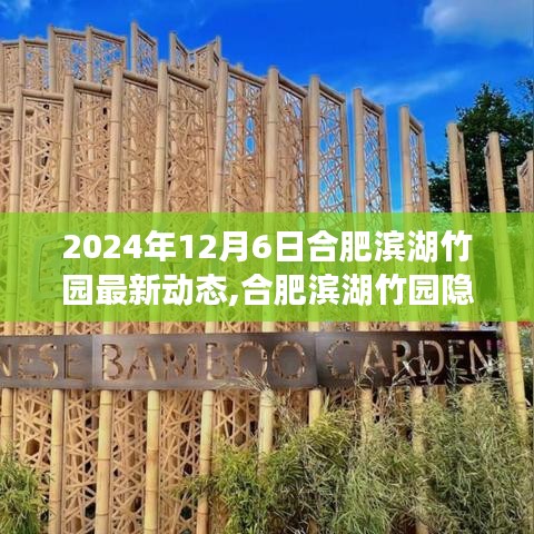 揭秘合肥濱湖竹園寶藏小店，一場獨特的探索之旅（最新動態）