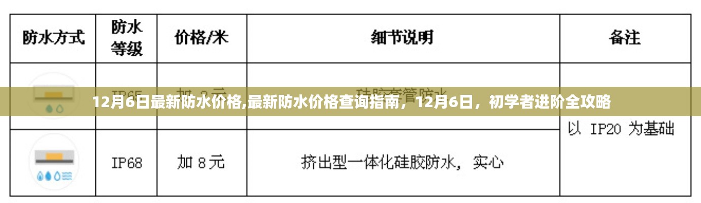 12月6日防水價格大全，查詢指南與初學(xué)者進(jìn)階攻略