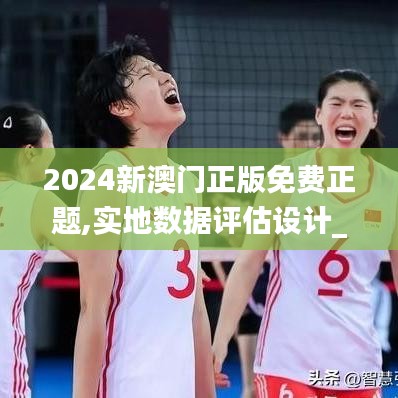 2024新澳門正版免費正題,實地數據評估設計_SE版6.882