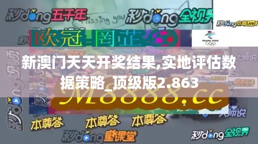 新澳門天天開獎結(jié)果,實地評估數(shù)據(jù)策略_頂級版2.863