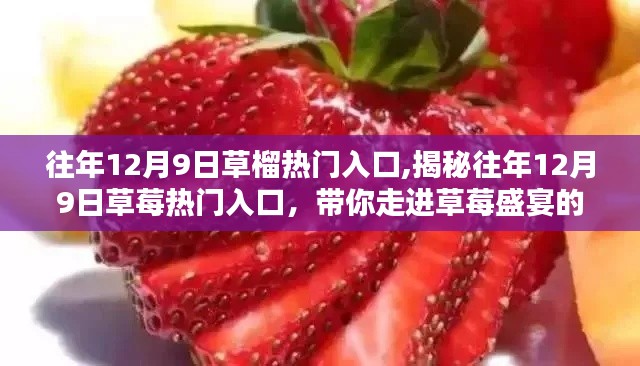 揭秘往年12月9日草莓熱門入口，盛宴開(kāi)啟，帶你走進(jìn)甜美世界！