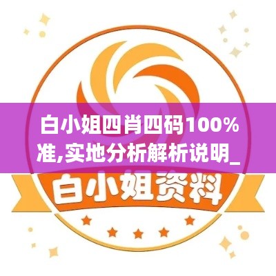 白小姐四肖四碼100%準(zhǔn),實(shí)地分析解析說明_微型版9.977