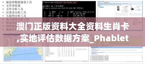 澳門(mén)正版資料大全資料生肖卡,實(shí)地評(píng)估數(shù)據(jù)方案_Phablet11.737
