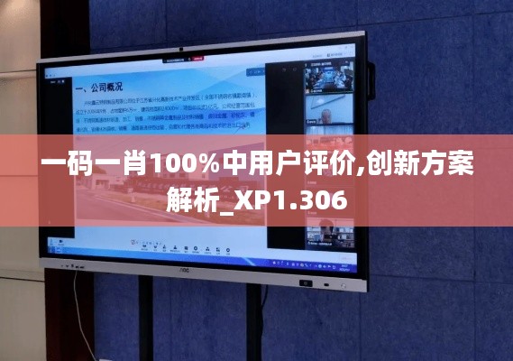 一碼一肖100%中用戶評(píng)價(jià),創(chuàng)新方案解析_XP1.306
