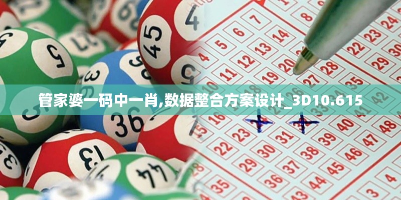 管家婆一碼中一肖,數(shù)據(jù)整合方案設(shè)計(jì)_3D10.615