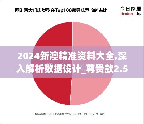 2024新澳精準資料大全,深入解析數(shù)據(jù)設(shè)計_尊貴款2.561