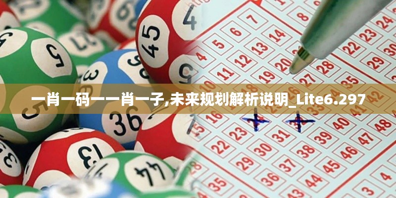 一肖一碼一一肖一子,未來規(guī)劃解析說明_Lite6.297