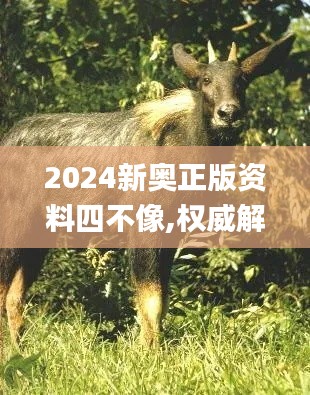 2024新奧正版資料四不像,權(quán)威解析說(shuō)明_WP19.858