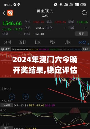 2024年澳門六今晚開獎結果,穩定評估計劃_Executive8.627
