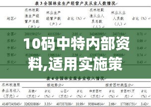 實施策略