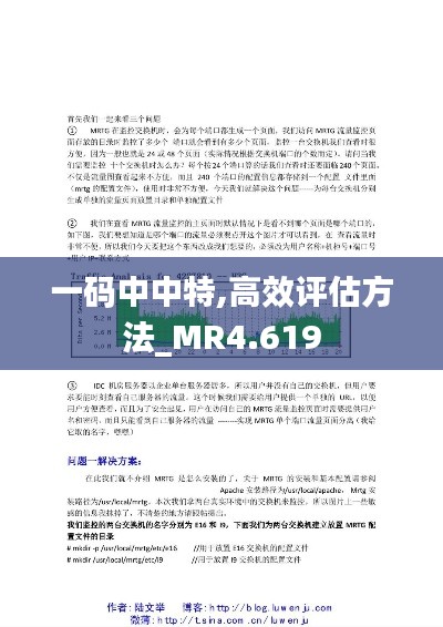 一碼中中特,高效評估方法_MR4.619