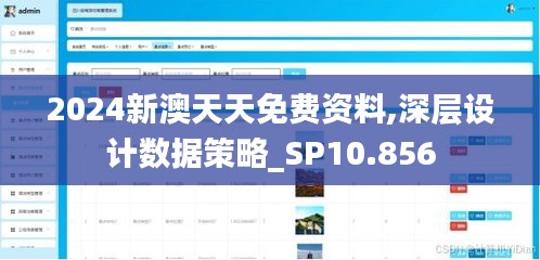 2024新澳天天免費資料,深層設(shè)計數(shù)據(jù)策略_SP10.856