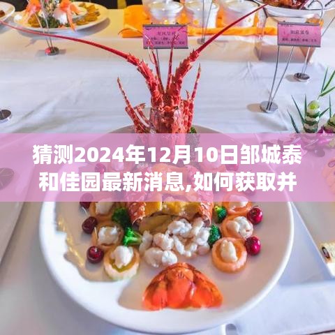 2024年鄒城泰和佳園最新消息解析，獲取與解讀指南（初學者與進階用戶適用）