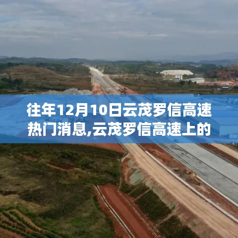 云茂羅信高速暖心故事與奇遇，溫情紐帶在冬日綻放
