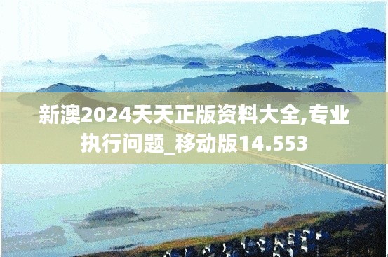 專業執行問題