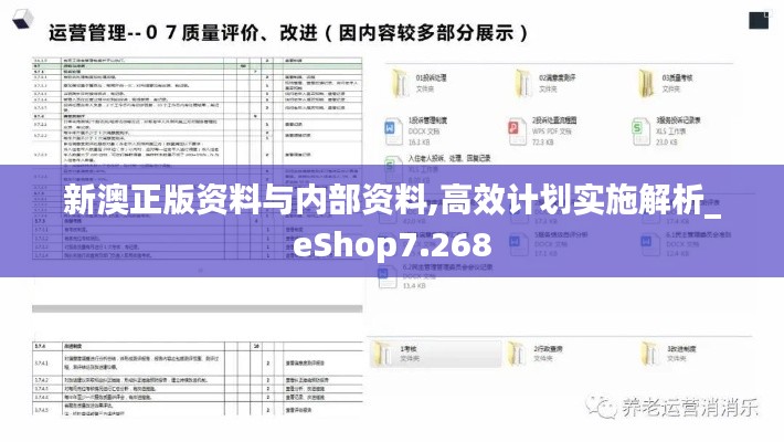 新澳正版資料與內(nèi)部資料,高效計劃實施解析_eShop7.268
