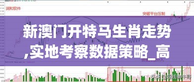 新澳門開特馬生肖走勢,實(shí)地考察數(shù)據(jù)策略_高級版10.458