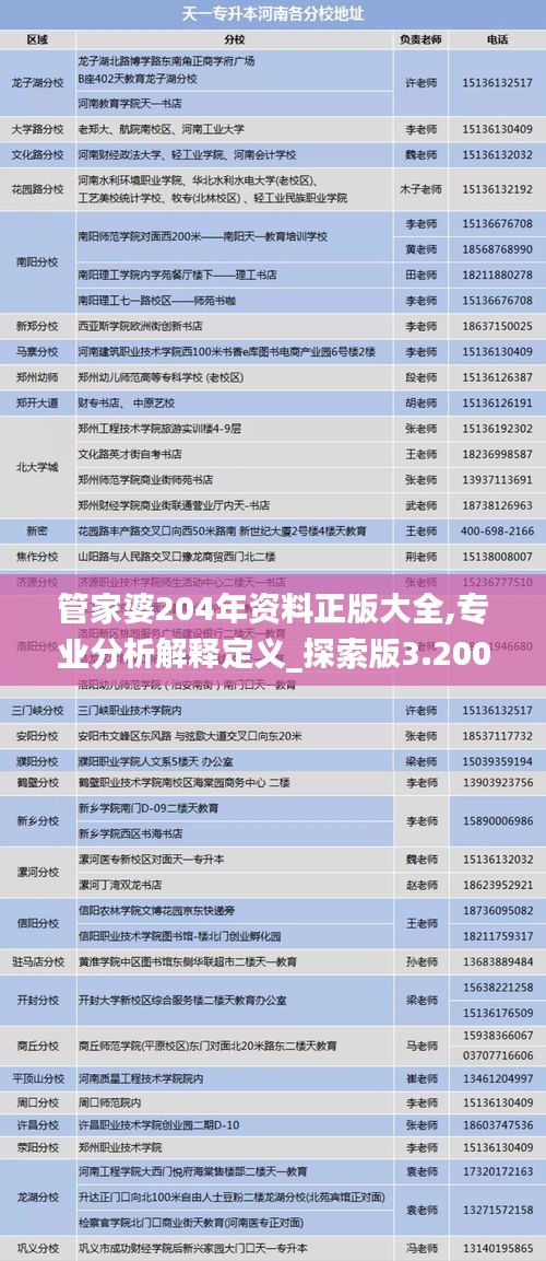 管家婆204年資料正版大全,專業(yè)分析解釋定義_探索版3.200