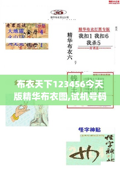 布衣天下123456今天版精華布衣圖,試機號碼,實地驗證數據計劃_XP16.792