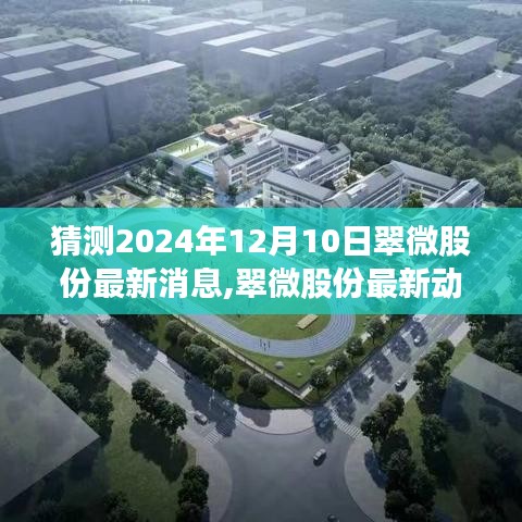 翠微股份未來展望深度評測，最新動態猜想與深度評測，展望至2024年12月10日
