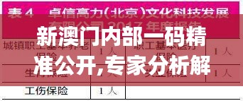 新澳門(mén)內(nèi)部一碼精準(zhǔn)公開(kāi),專(zhuān)家分析解釋定義_投資版8.446
