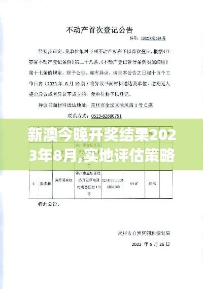 實地評估策略