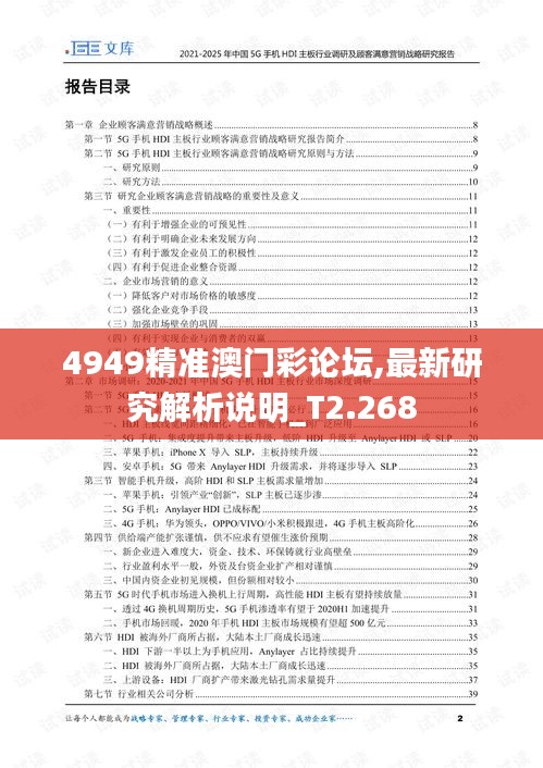 4949精準(zhǔn)澳門彩論壇,最新研究解析說明_T2.268