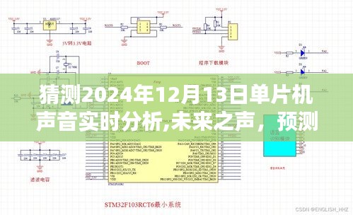 2024年單片機聲音實時分析技術革新與前景展望