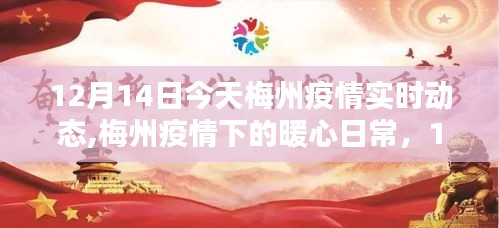 梅州疫情下的暖心日常，實時動態與溫馨時光