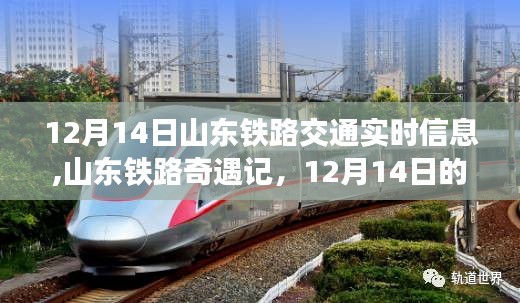 山東鐵路奇遇記，12月14日的溫馨旅程實(shí)時(shí)信息
