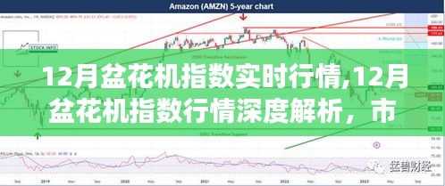 12月盆花機指數深度解析，實時行情、市場脈絡與未來展望