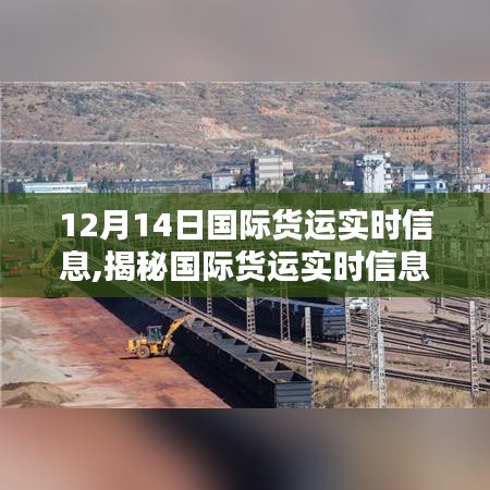 12月14日國際貨運(yùn)實時解析，全球物流動態(tài)揭秘與洞悉之路