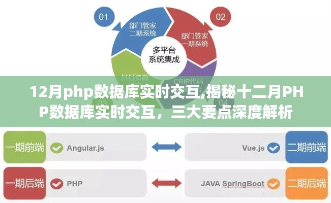 揭秘十二月PHP數(shù)據(jù)庫(kù)實(shí)時(shí)交互深度解析，三大要點(diǎn)一網(wǎng)打盡