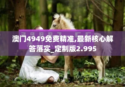 澳門4949免費精準(zhǔn),最新核心解答落實_定制版2.995