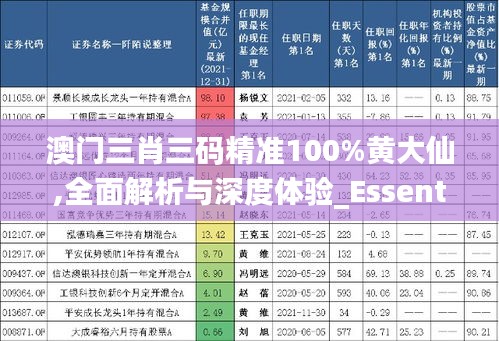 澳門(mén)三肖三碼精準(zhǔn)100%黃大仙,全面解析與深度體驗(yàn)_Essential7.969