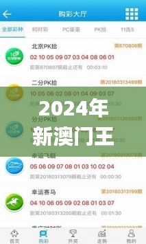2024年新澳門王中王開獎結果,高度協調策略執行_Prime3.913