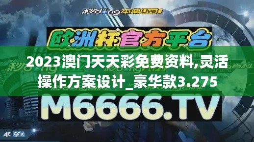 2023澳門天天彩免費(fèi)資料,靈活操作方案設(shè)計(jì)_豪華款3.275