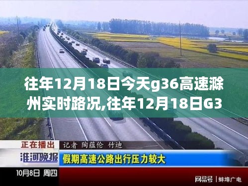 坌鳥先飛 第3頁