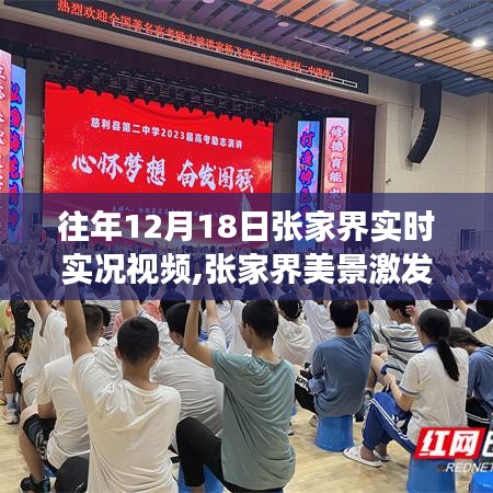 一本正經 第3頁