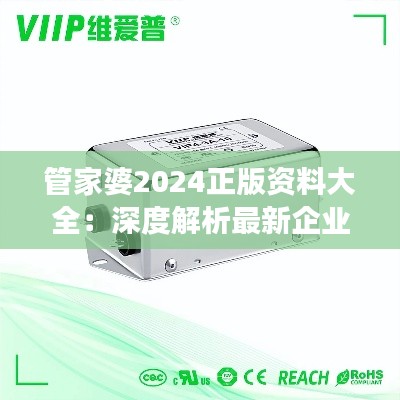 管家婆2024正版資料大全：深度解析最新企業(yè)管理軟件功能與應(yīng)用指南