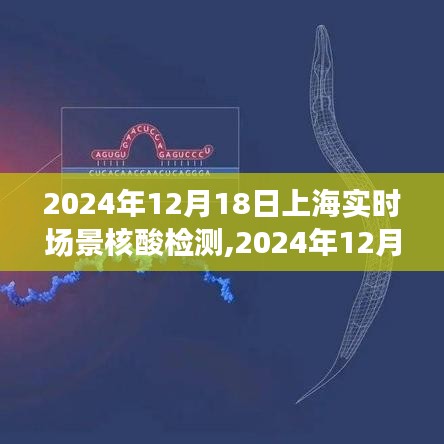 上海實時場景核酸檢測，前沿技術(shù)助力城市防控的新篇章（2024年12月18日）