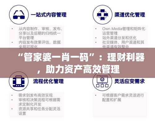 “管家婆一肖一碼”：理財利器，助力資產高效管理