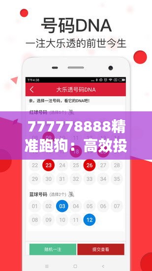 投注策略