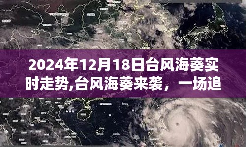 臺風海葵來襲，追尋自然寧靜的奇妙旅行實時走勢（2024年12月18日）