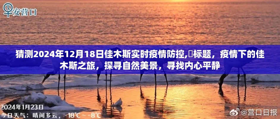 疫情下的佳木斯之旅，探尋自然美景與內心平靜，預測佳木斯疫情防控動態（2024年12月18日）
