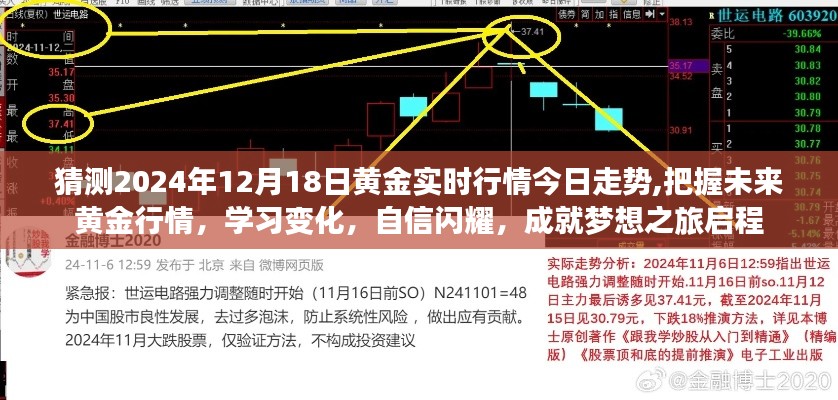 2024年黃金行情展望，今日走勢預(yù)測與未來把握，啟程夢想之旅