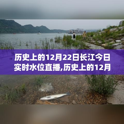 歷史上的12月22日長江實時水位直播全面評測與介紹，今日水位直播及深度分析