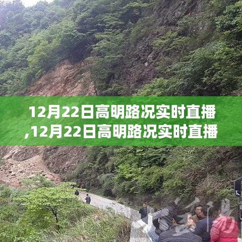 12月22日高明路況實時直播，輕松掌握路況信息，順暢出行