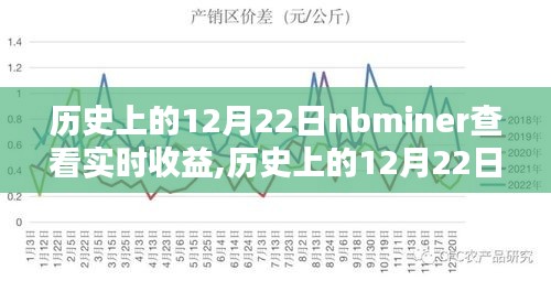 歷史上的12月22日nbminer收益查看指南，實時收益查看方法與指南