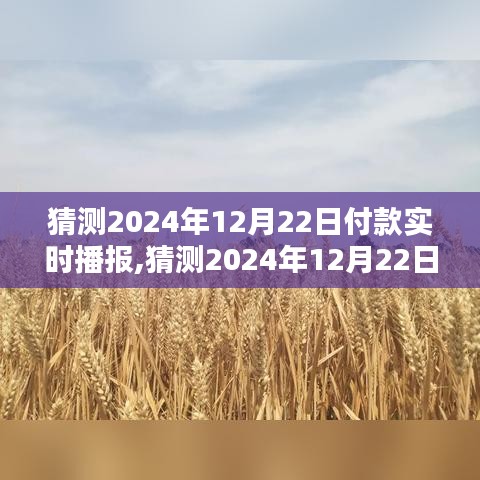 2024年12月22日付款實時播報產品全面評測與介紹